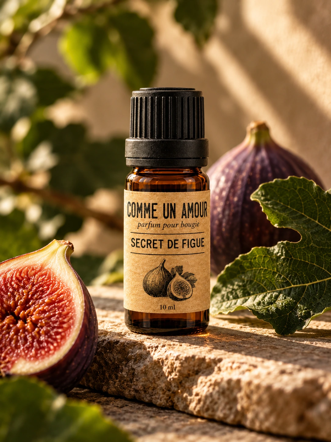 Parfum Secret de figue dans son décor botanique