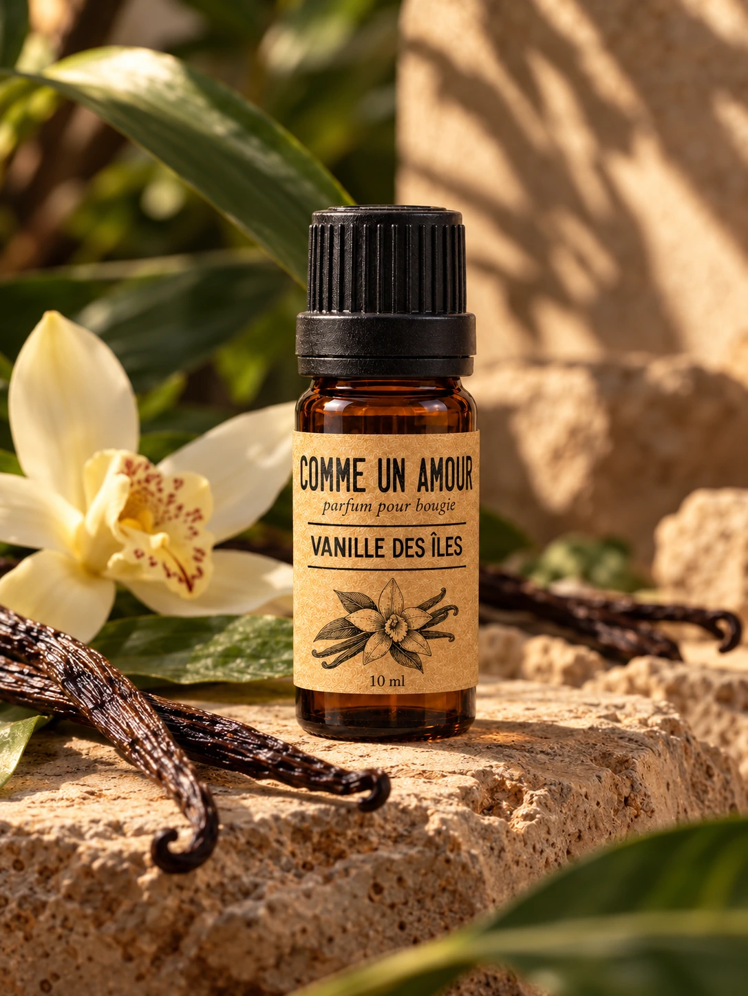 Parfum Vanille des îles dans son décor botanique